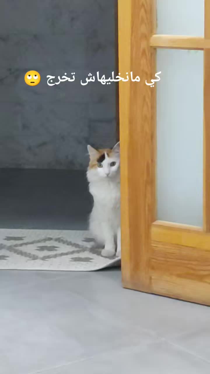 @Prince 🤴 nicotine 🐱nana