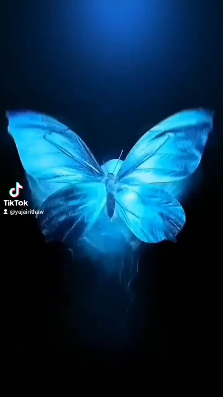 @𝒀 𝒂 𝒋 𝒂 𝒊 𝒓 𝒂 🌸