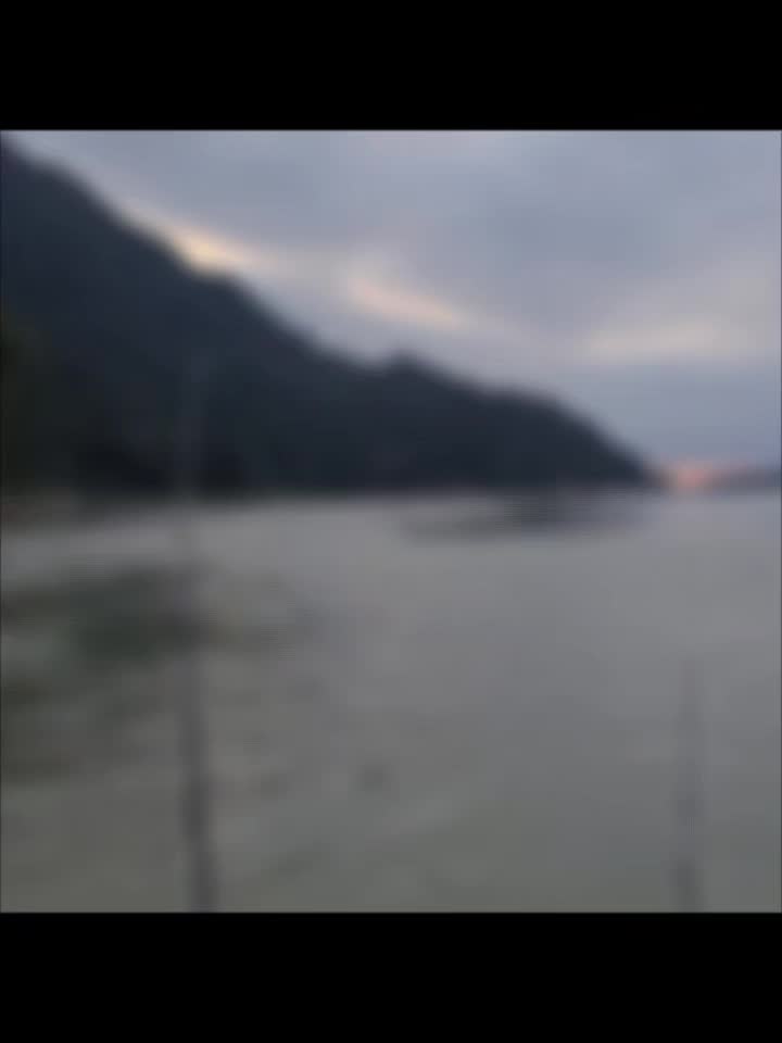 @BC WILDLIFE JETBOAT TOURS