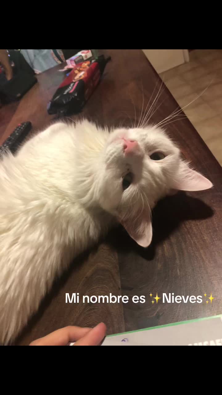 @Marti Colasanti