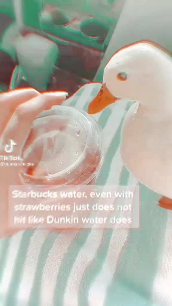 @animals.soft.videos