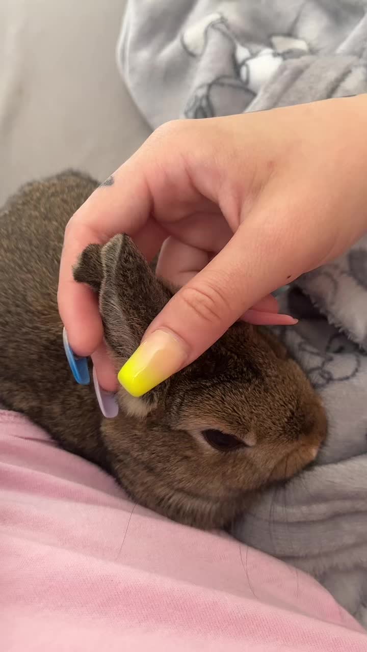 @Bugz_adventures 💙🐰