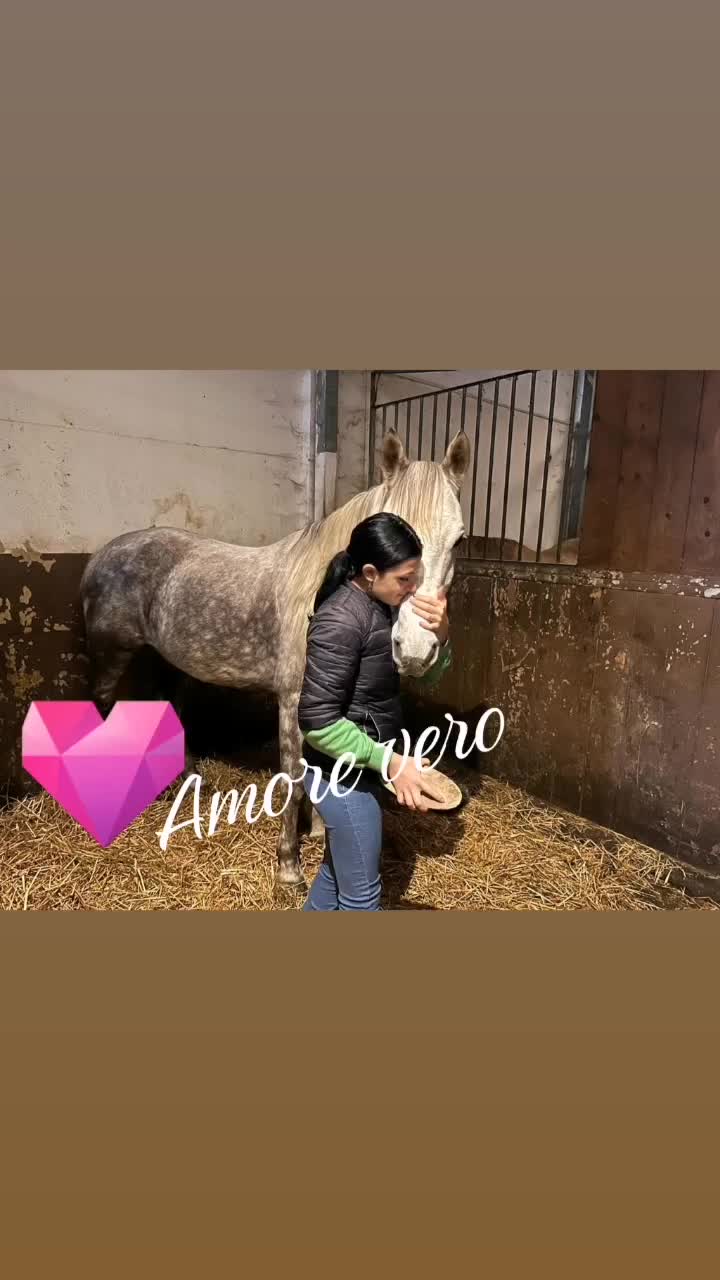 @Raneri Tamara