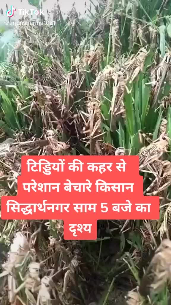 @PARMAR  SHAB