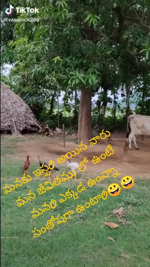@RAMU YADAV