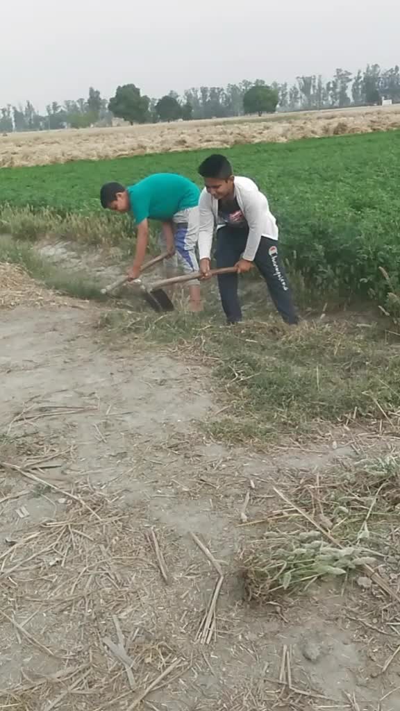 @Manoj Jaat640