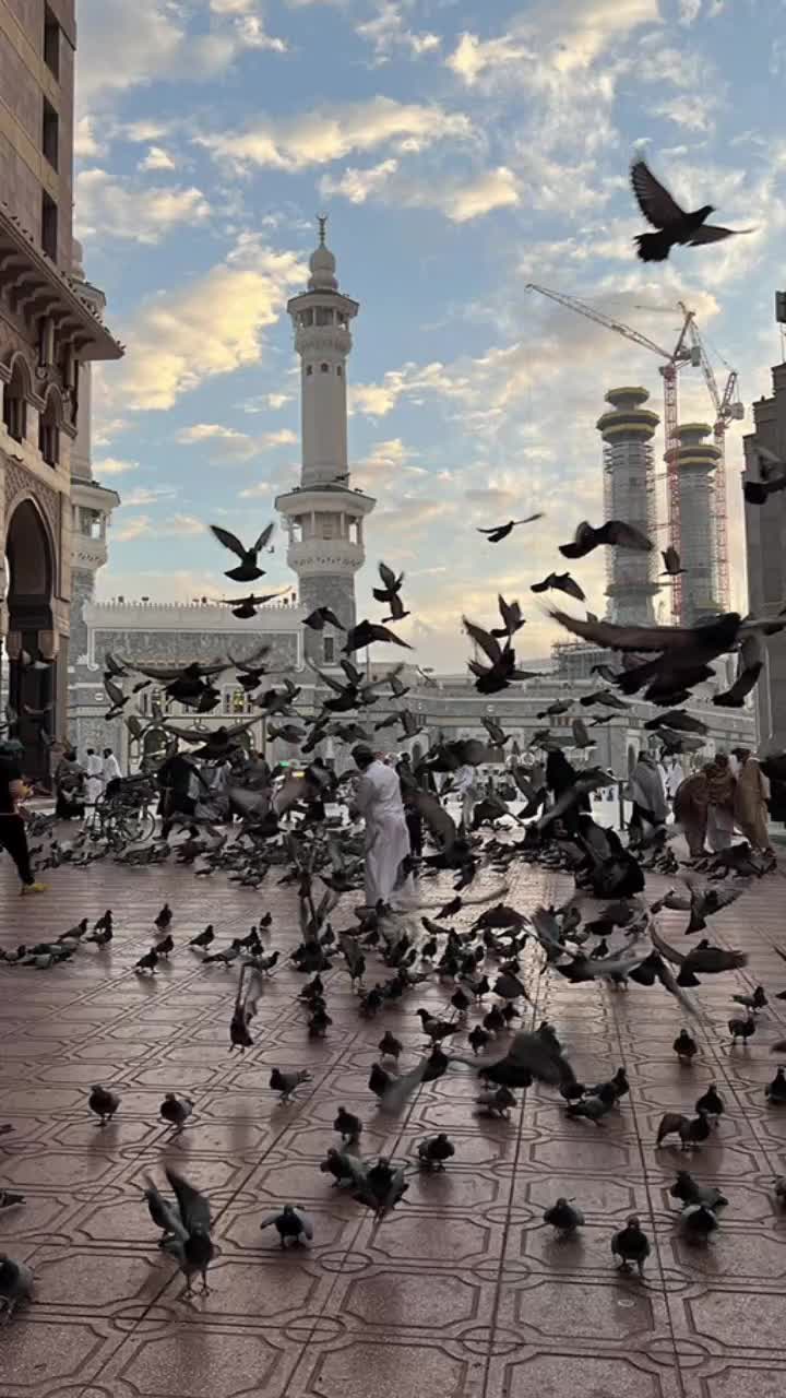 @𝐀¹᭄𝐖𝐀𝐋𝐈࿐¹⁴³