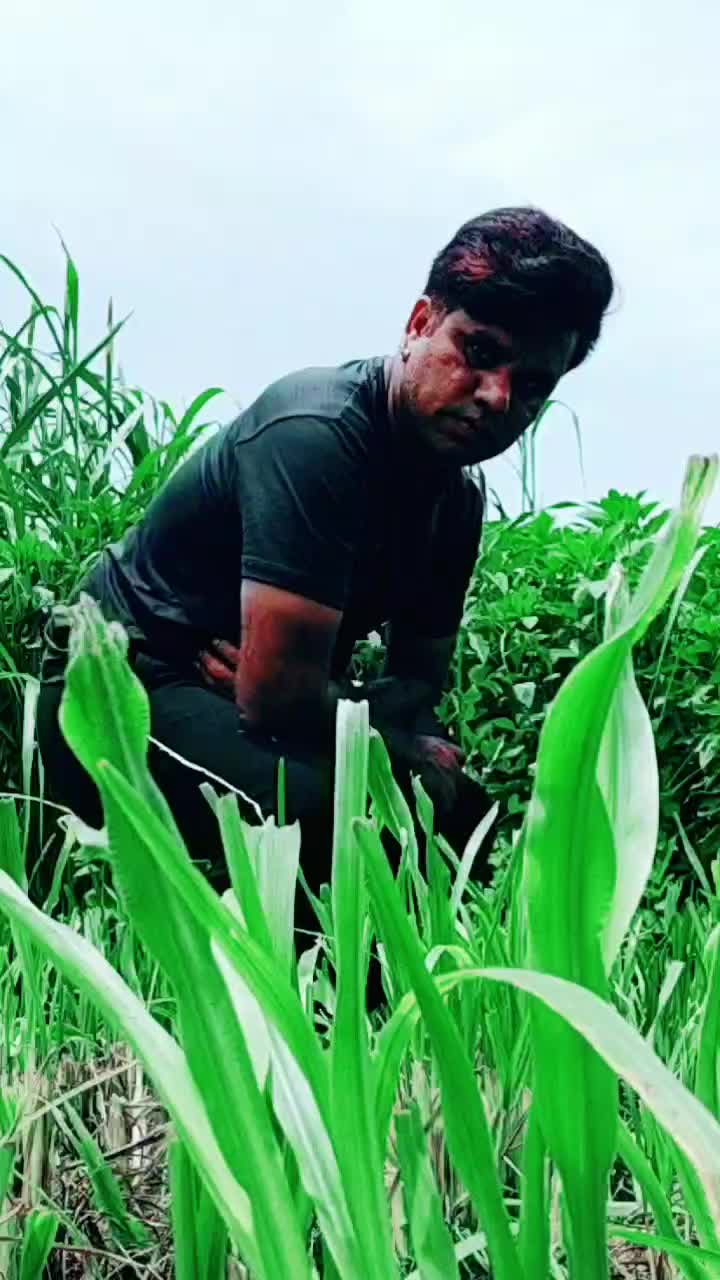 @D.G.Chauhan