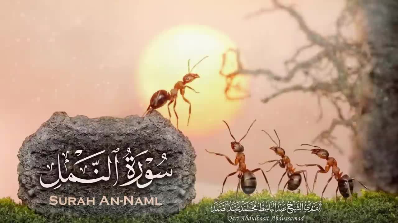 @فارس