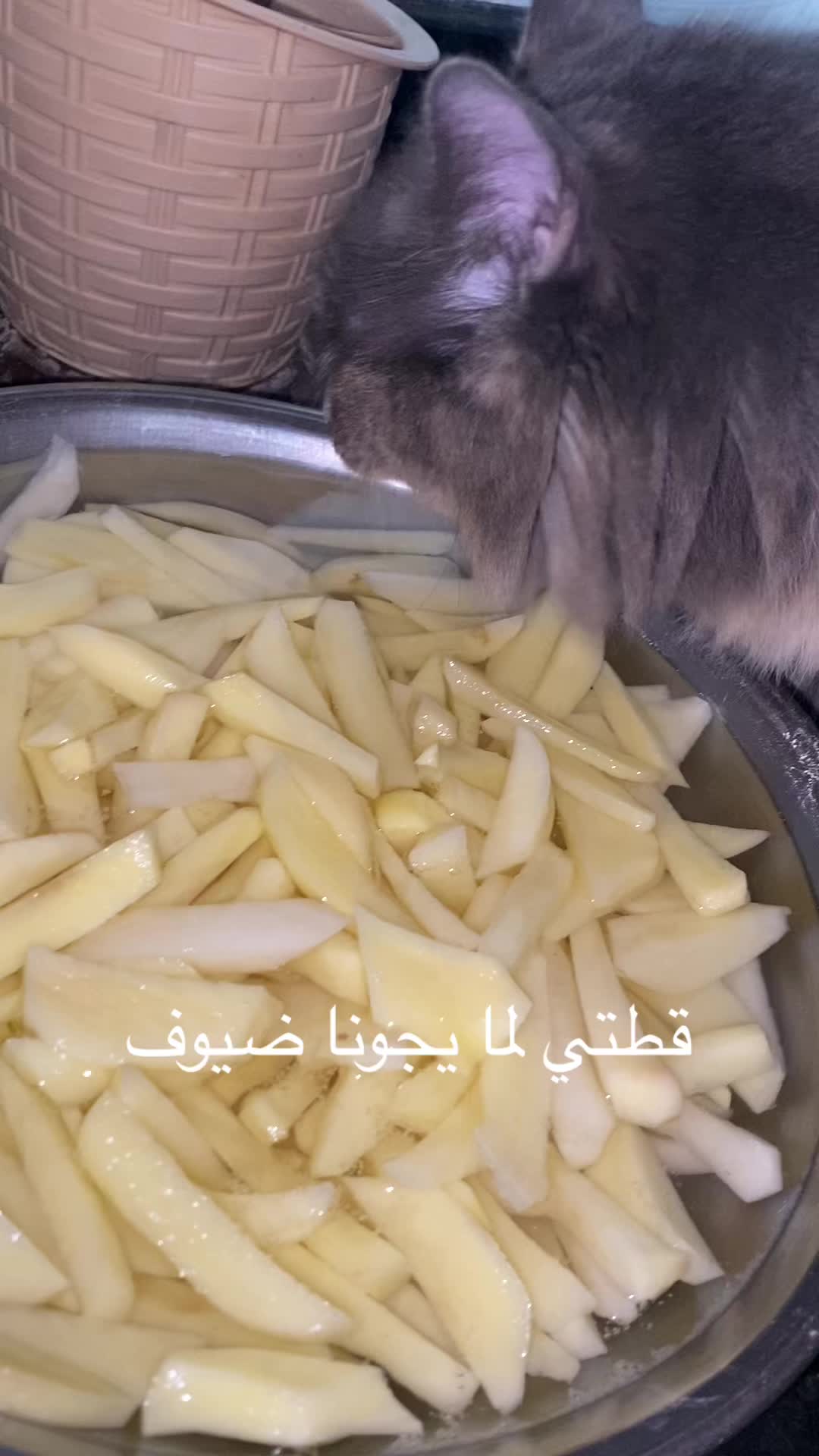 @saraaeter