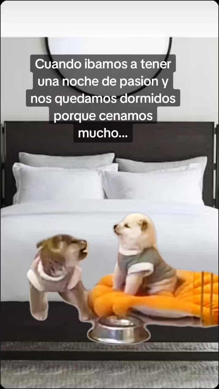 @Ania Yañez