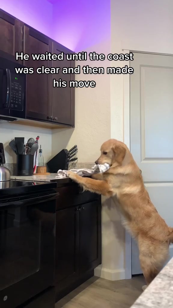@George The Golden