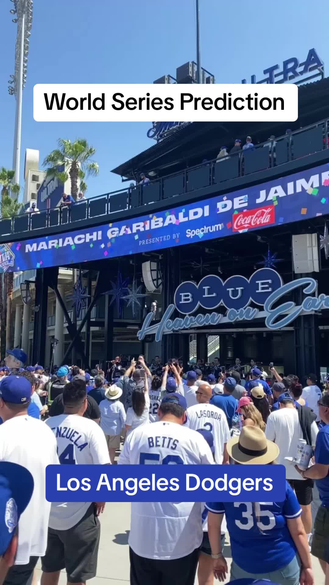 @Ballpark Ace