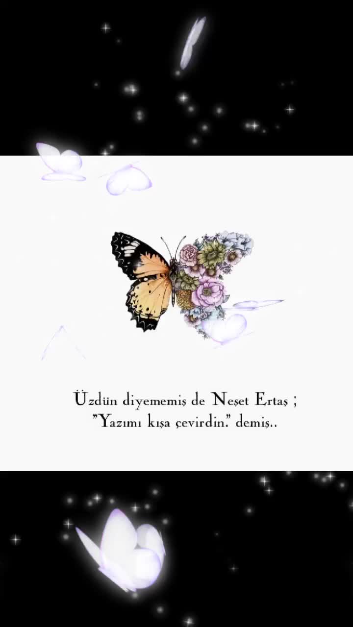 @Butterfl.women