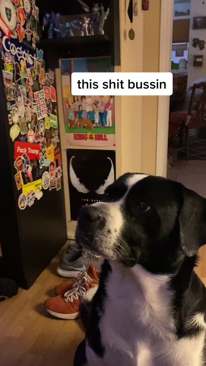 @zach