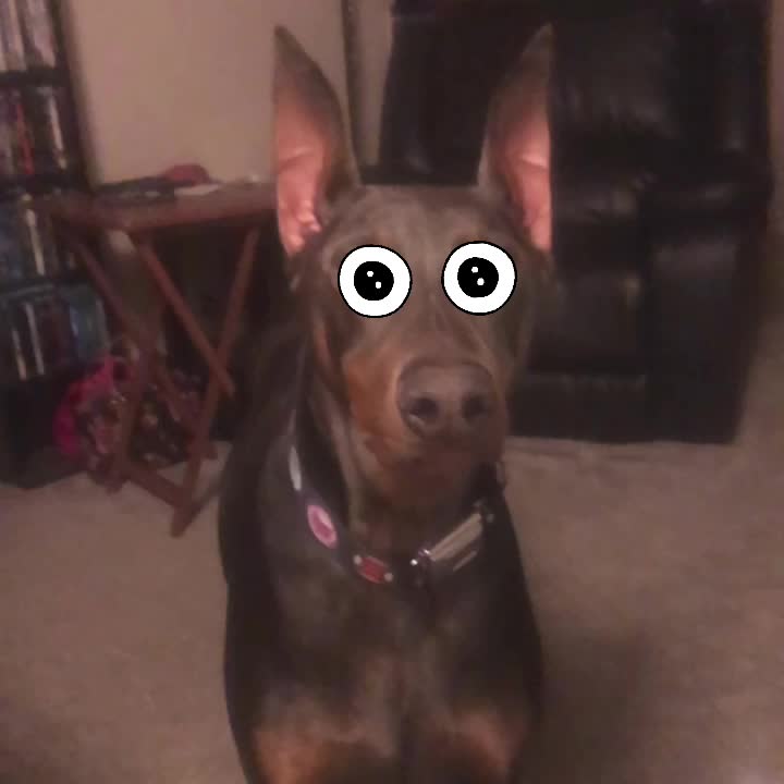 @Yourwifelovesmybeard