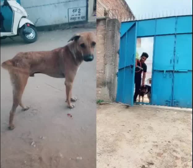 @મહાકાલ સેના બુરાલ