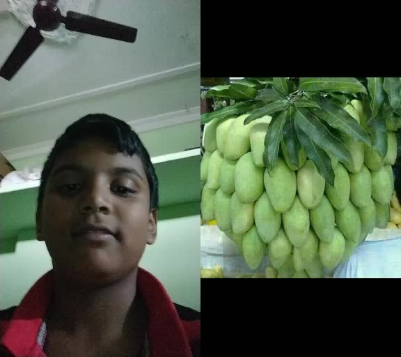 @tic tok merugu