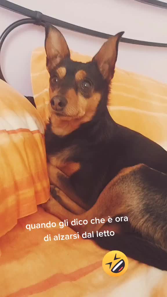 @Ilaria Satti