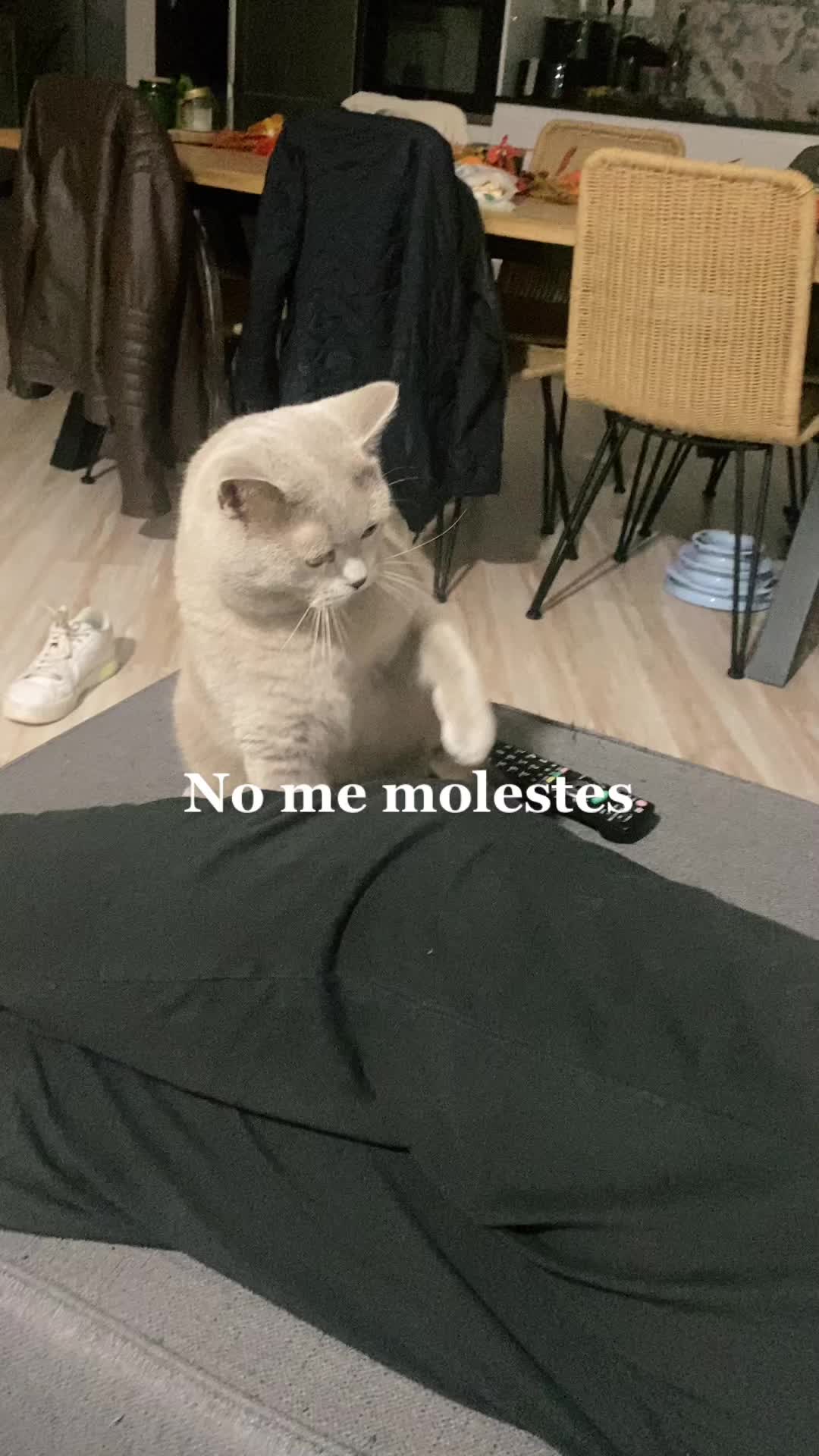 @Marta