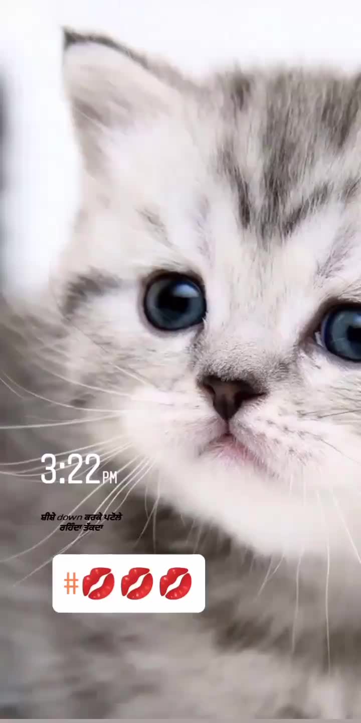 @๐_TOM_KATARA_๐