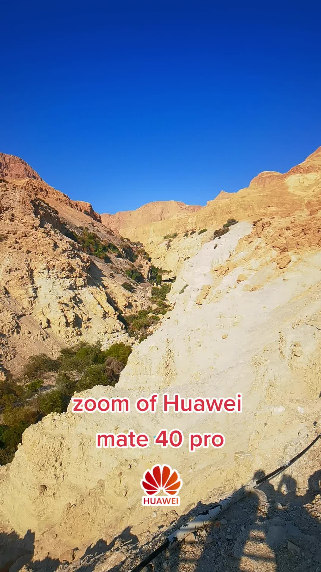 @משה חיים הורנשטיין