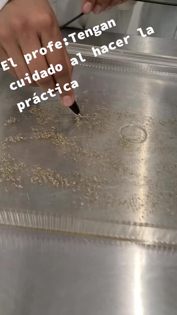 @Capiscience
