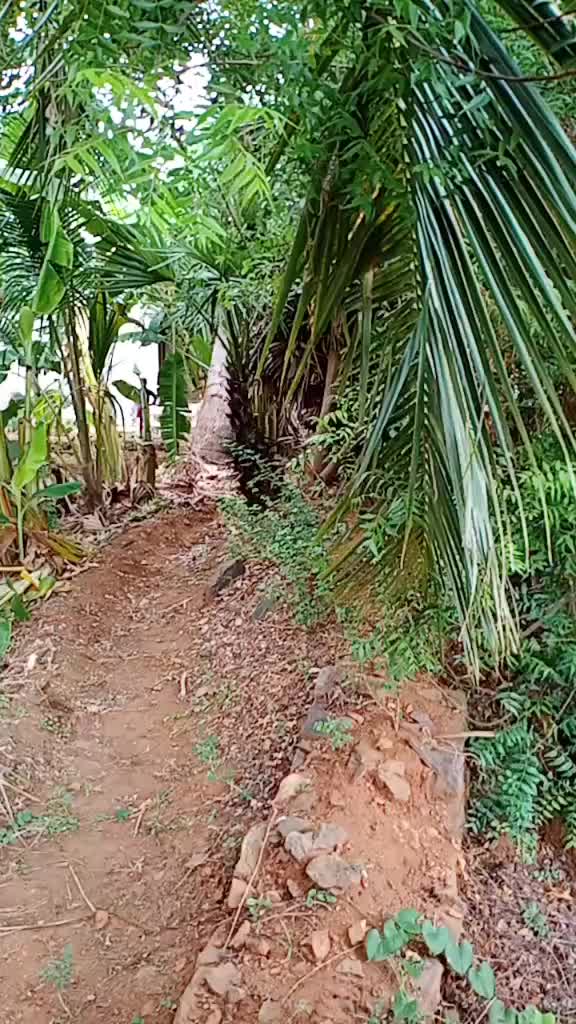 @Mahesh@❤mallar💚🌾🌾