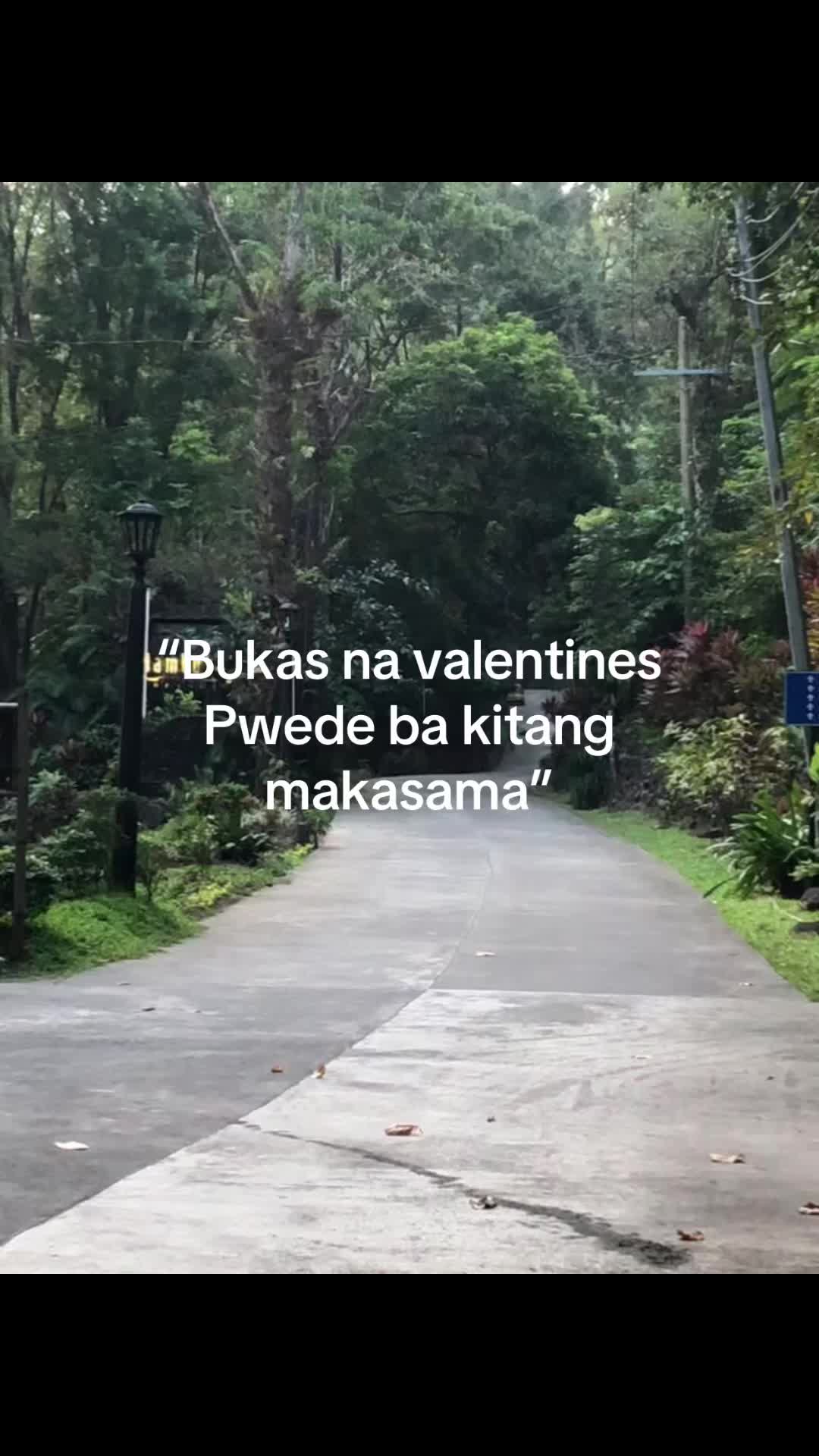 @🌷