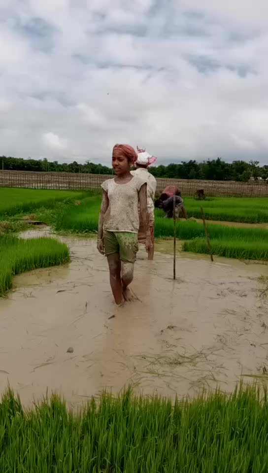 @brishti gogoi