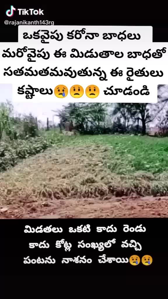 @@DANGER SURI