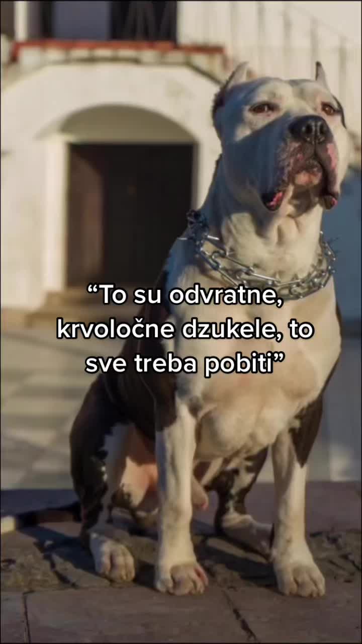 @Teodora Paunović