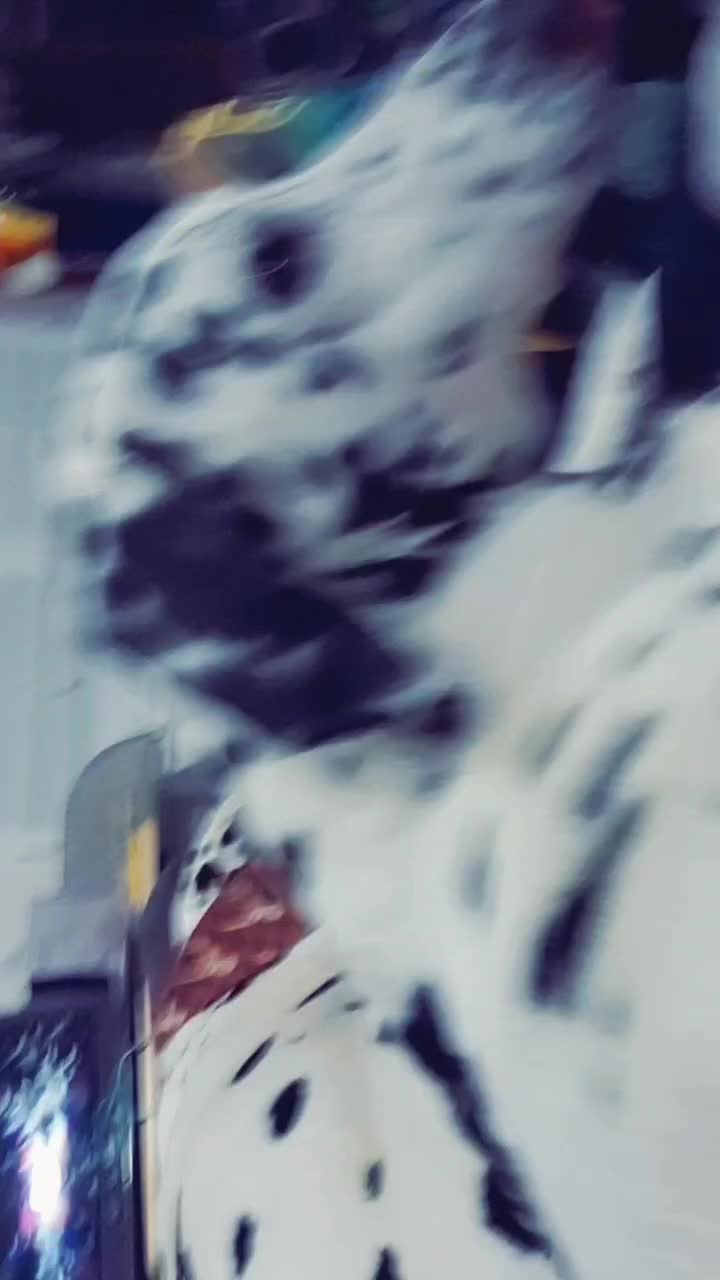 @leslie.hutchings99