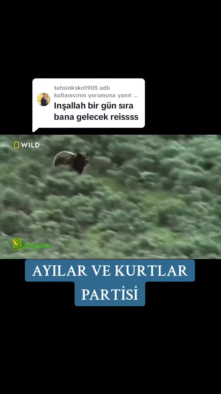 @Belgesel D&uuml;nyası 🌏