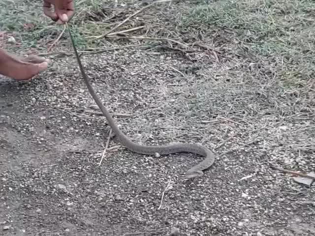 @vemula akash..!