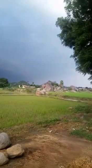 @senthamizh selvan