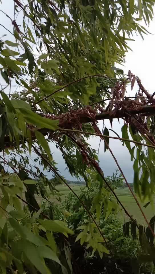 @nitishkumar9616