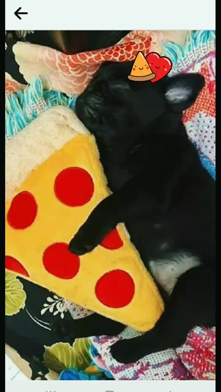 @pizza_bessa