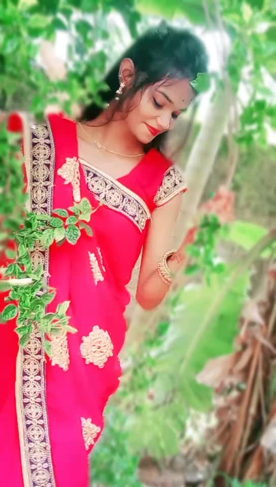 @ani