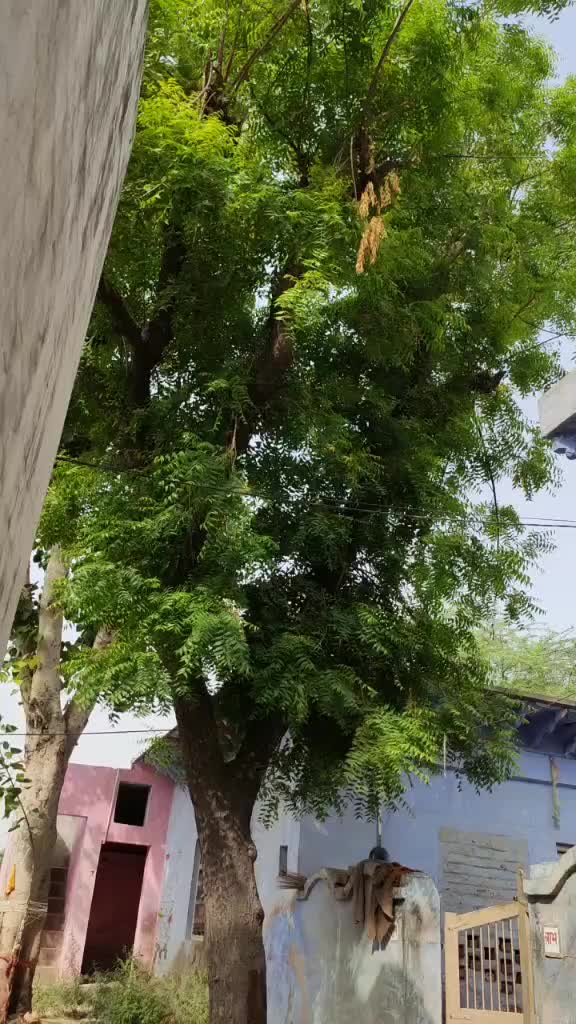 @Alexchauhandeepak