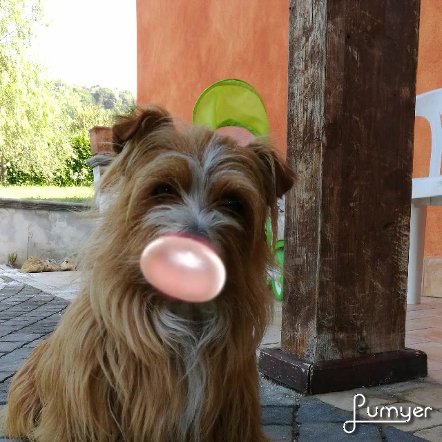 @MariangelaDeTora