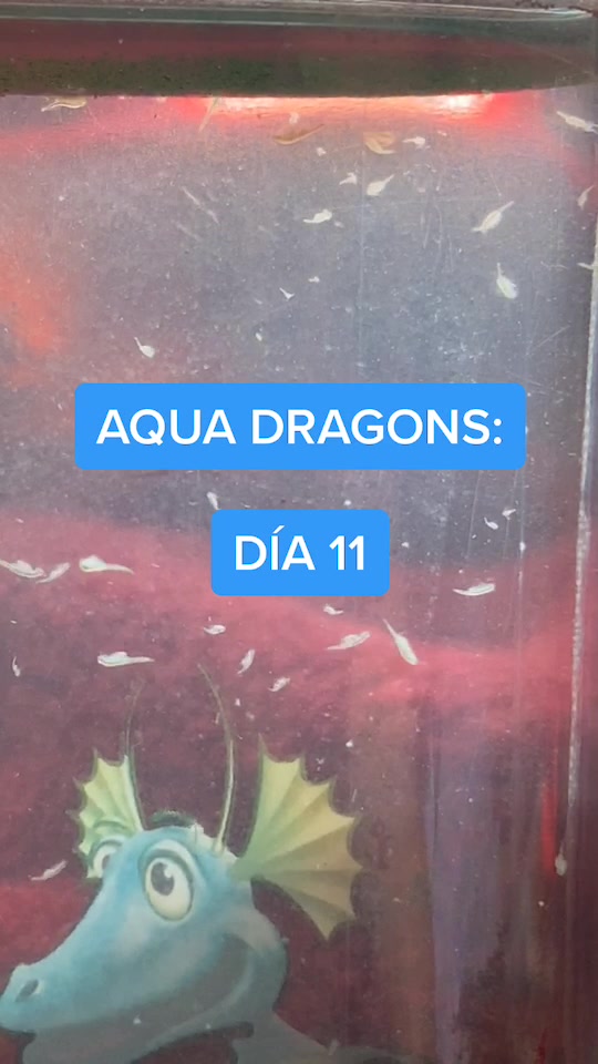 @mini.dragons