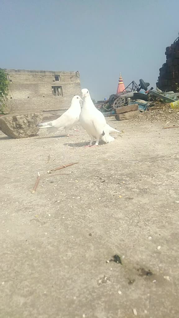 @Gajanan Soge