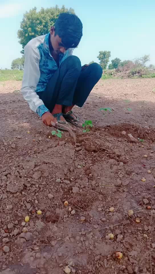 @vala Bhavesh