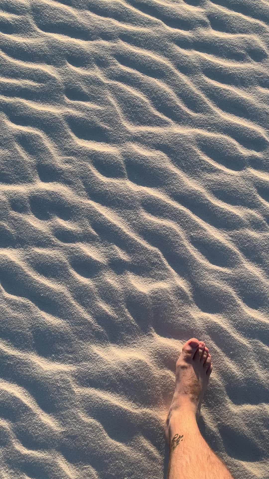 @foxygraham