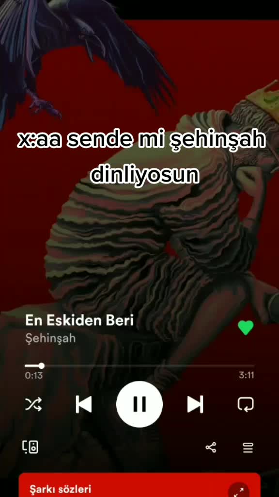 @Oğuzhan Kılın&ccedil;
