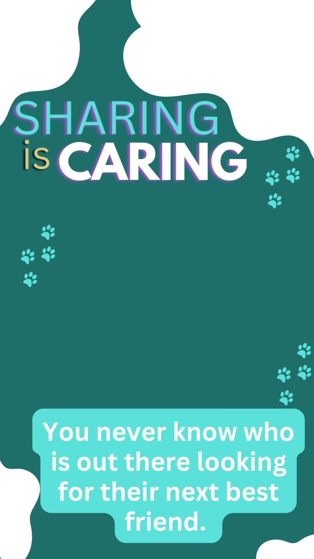 @716 PAWS