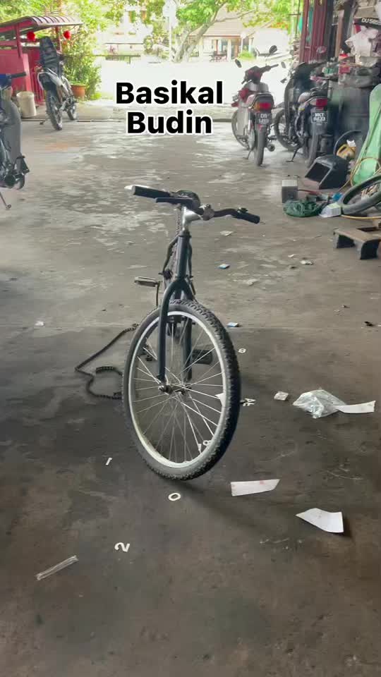 @axussong5826