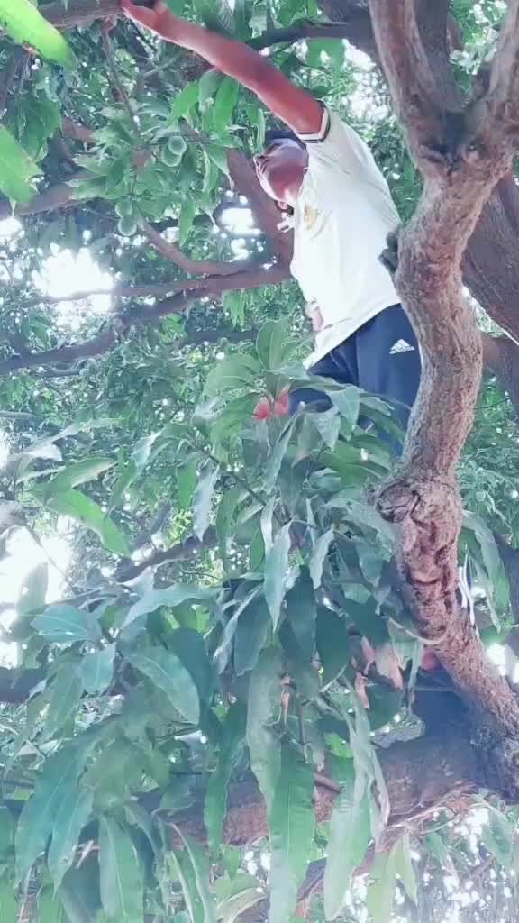 @Dev Chauhan