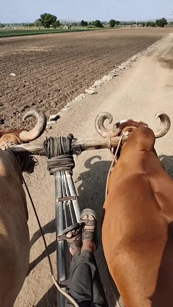 @Vivek_ghadiya_5784